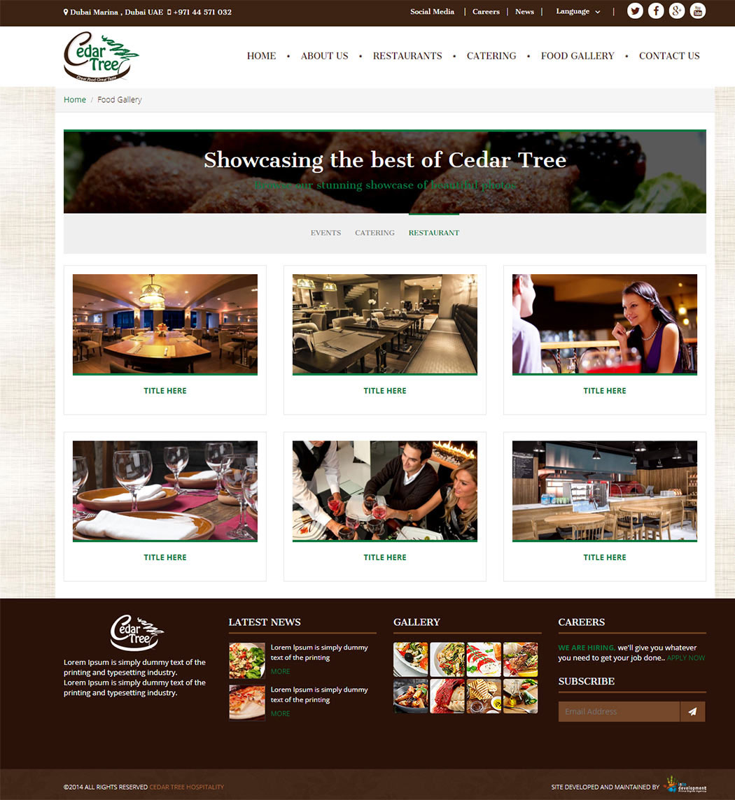 Cedar Tree-web development Egypt-web development Doha