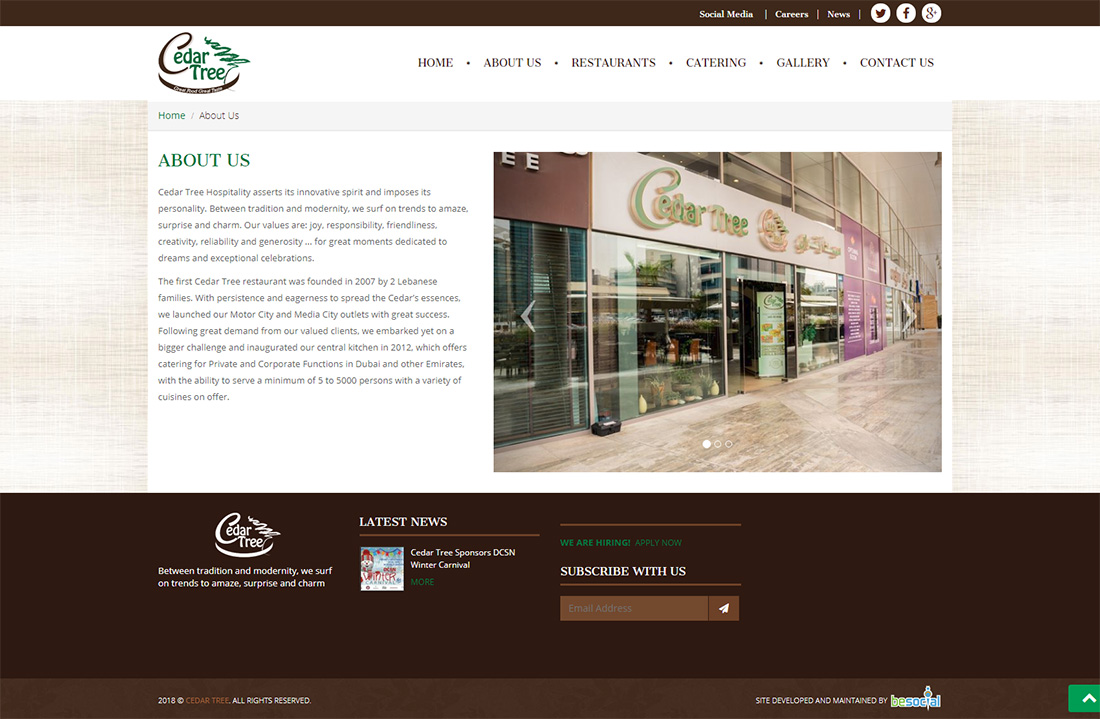 Cedar Tree - About-web development Egypt-web development Doha